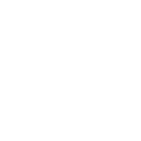 3l icon