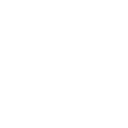3l icon